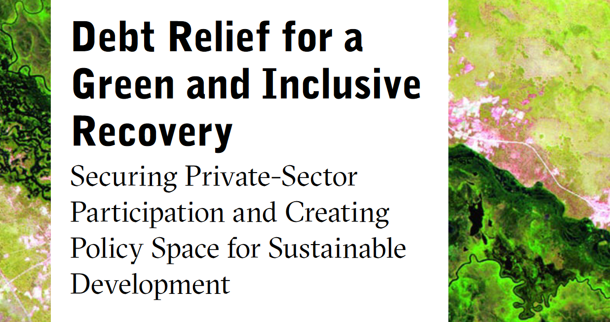 Report: Securing Private-Sector Participation and Creating Policy Space ...