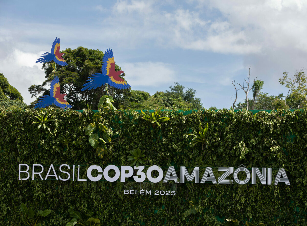 photo of a green hedge with "Brasil COP30 Amazonia, Belém 2025" and wood parrots